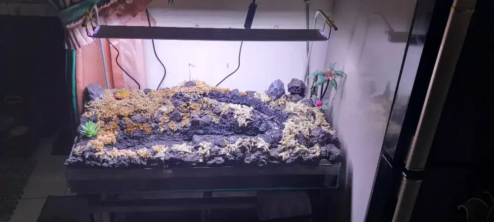 Paludarium mini bekas