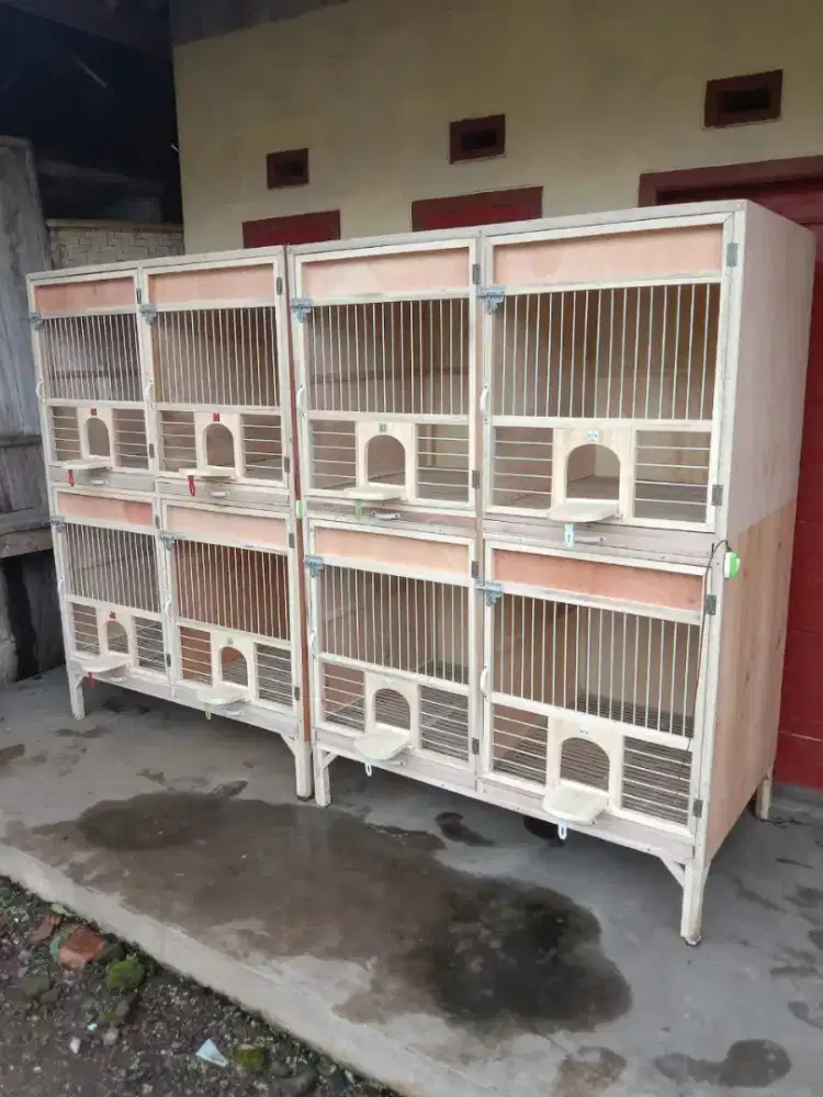 Kandang hewan peliharaan ayam hias kelinci kucing marmut burung