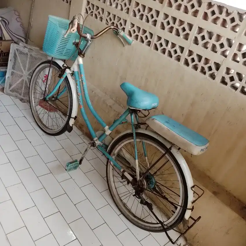 Sepeda keranjang mini pacific casella 23