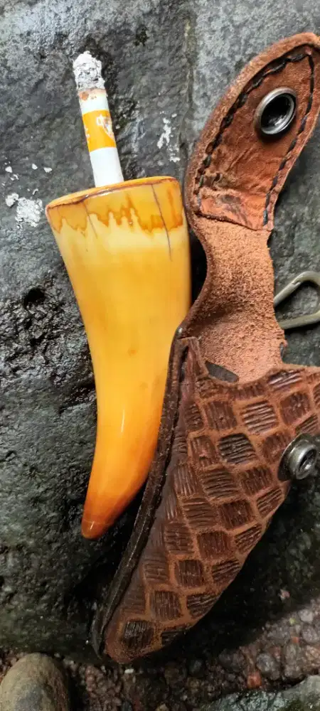 Pipa lawasan warna mentega langka