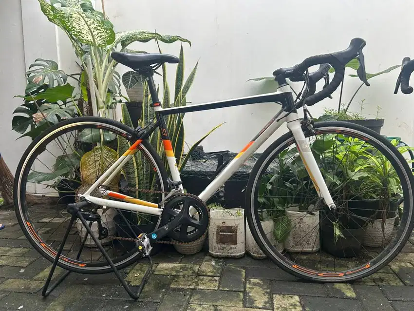 Preloved Sepeda Polygon Strattos S3 Tahun 2022