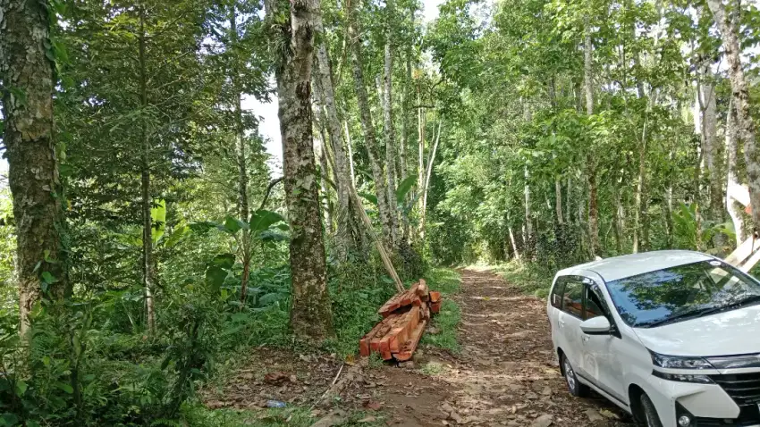 Dijual tanah Tegalan subur murah
