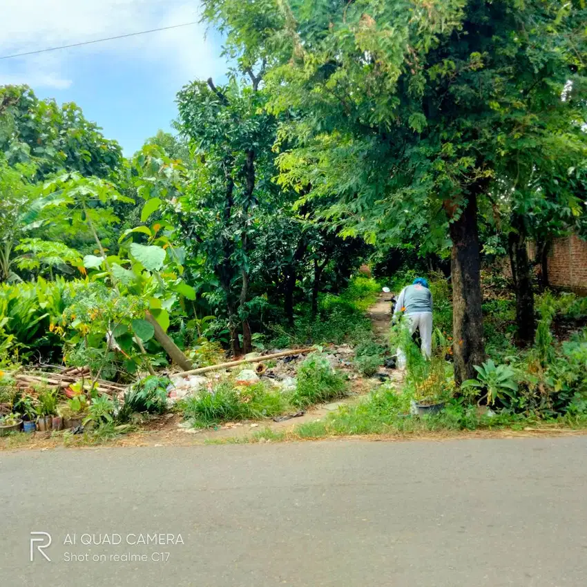 Dijual tanah kebun dekat kantor kecamatan, 50 m an dari jalan Provinsi