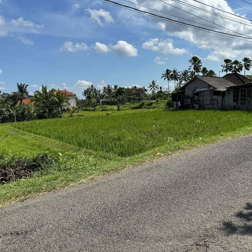 LAHAN VIEW SAWAH DI KAWASAN VILLA TEGALLALANG, UBUD - BALI