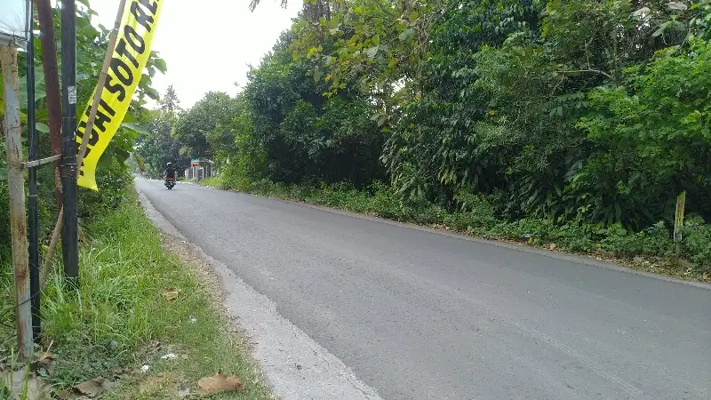Tanah Murah Strategis Menarik dijual di Kasongan Bantul Yogyakarta