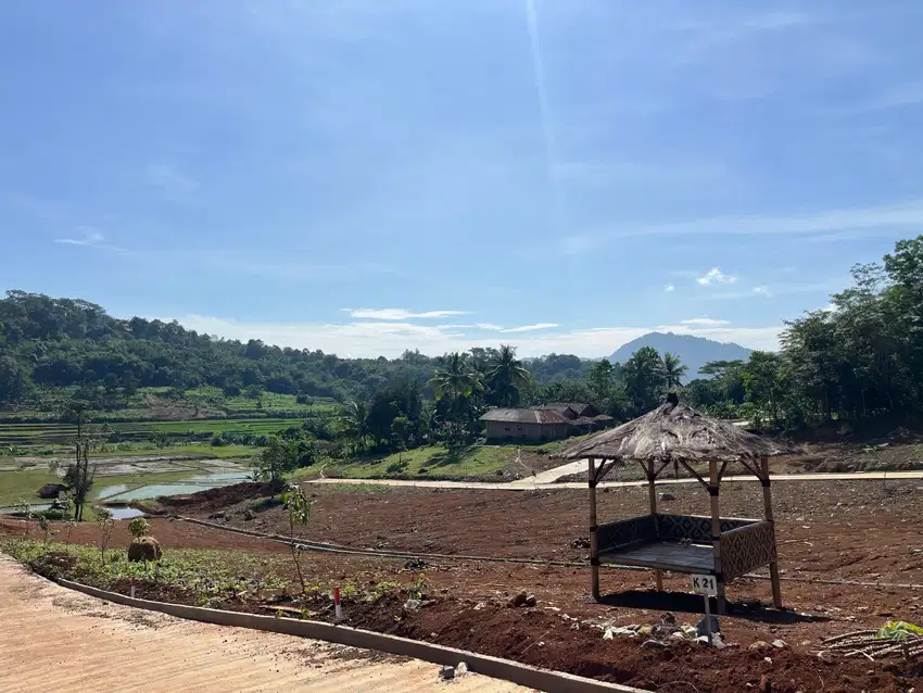 Jual Tanah Murah Bogor Nuansa Alam Agroeduwisata