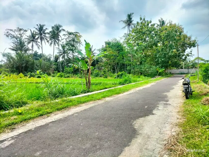 Dijual Sawah Murah di Caturharjo Sleman