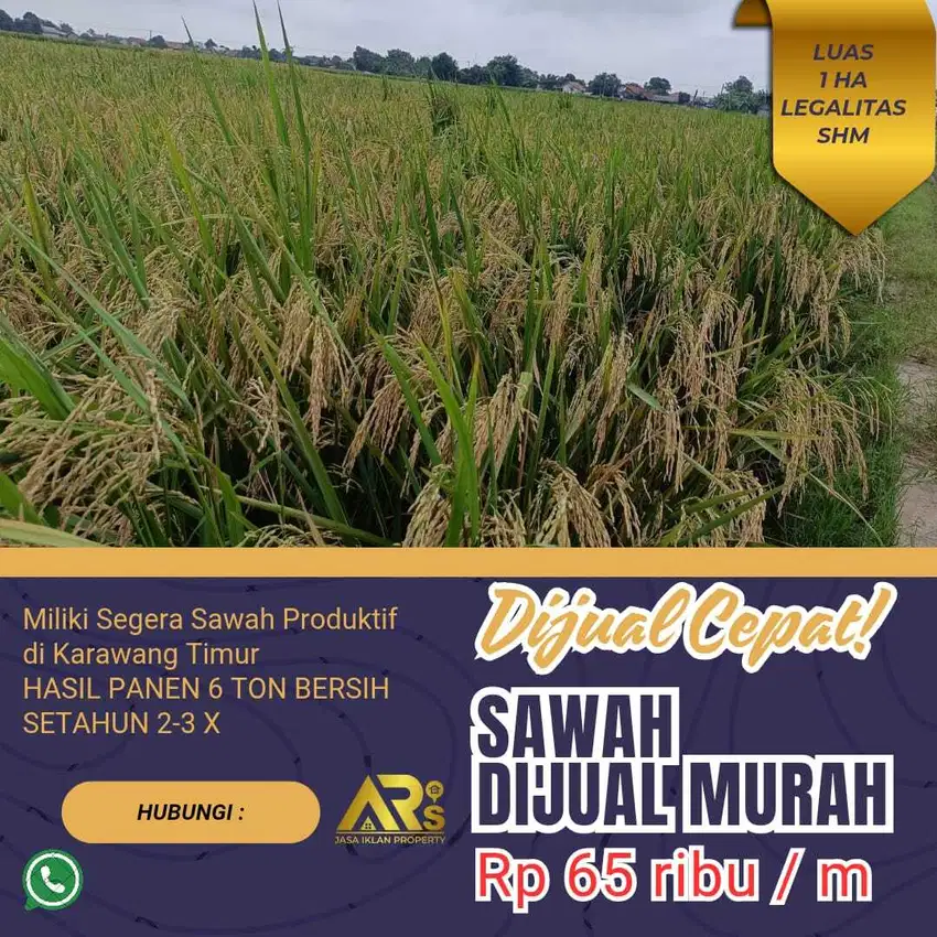 DIJUAL CEPAT TANAH SAWAH PRODUKTIF LUAS 1 HEKTAR DI TELAGASARIKARAWANG