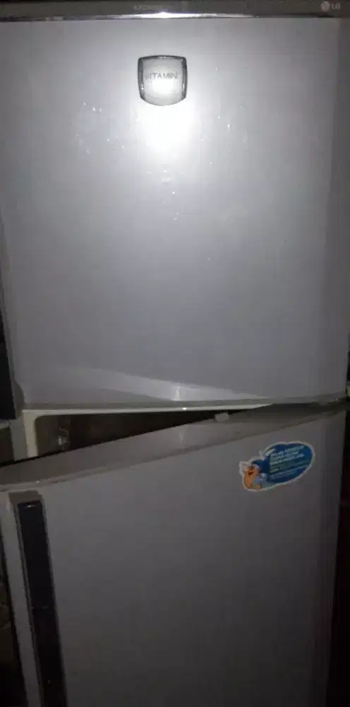 Jual kulkas LG express cool vitamin 2 pintu normal