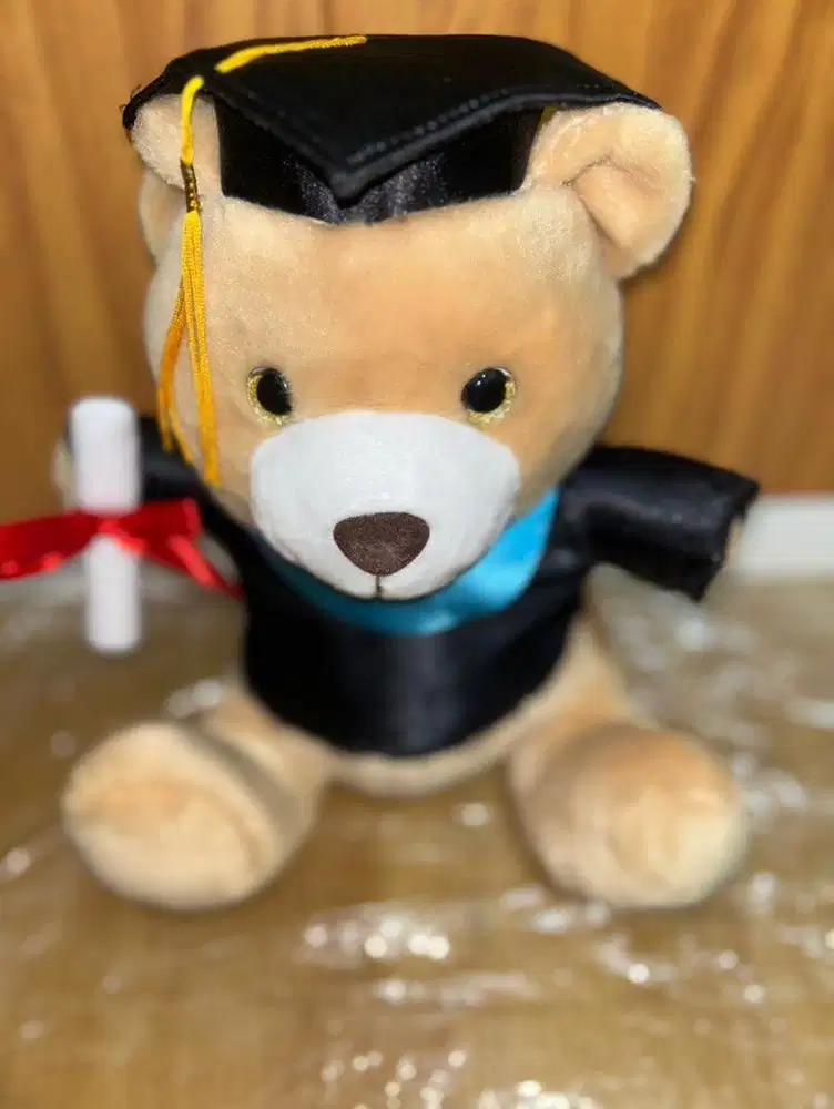 Boneka Teddy Bear Wisuda / Boneka Seulgi / Leher Biru / Lucu dan Imut