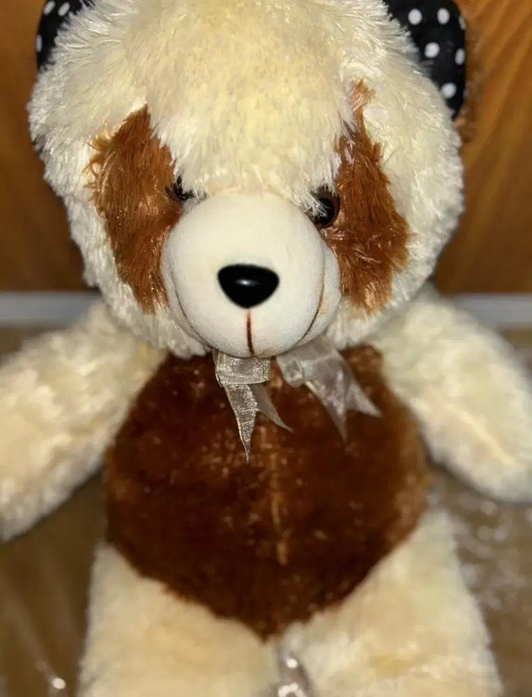 {New} Boneka Beruang Teddy Bear Jojon Lucu dan Gemesh