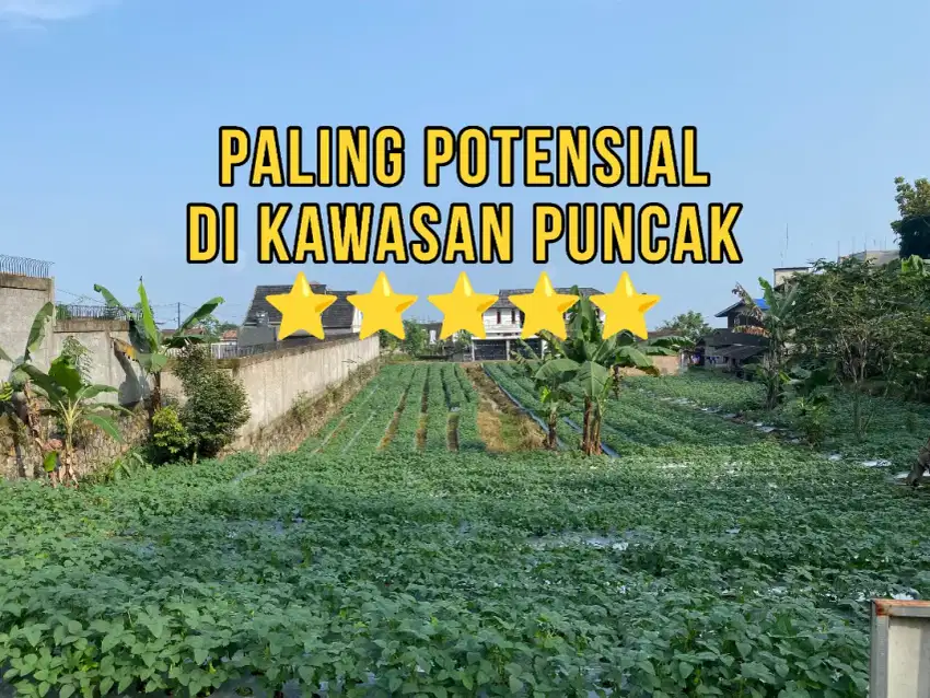 Tanah SHM 2000 m² Akses Mobil & Bus, Lokasi Strategis Puncak Bogor!