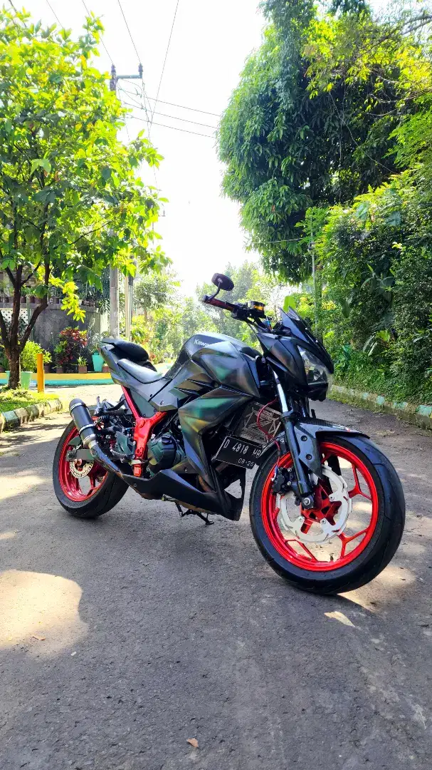 Kawasaki Z250 FI 2013