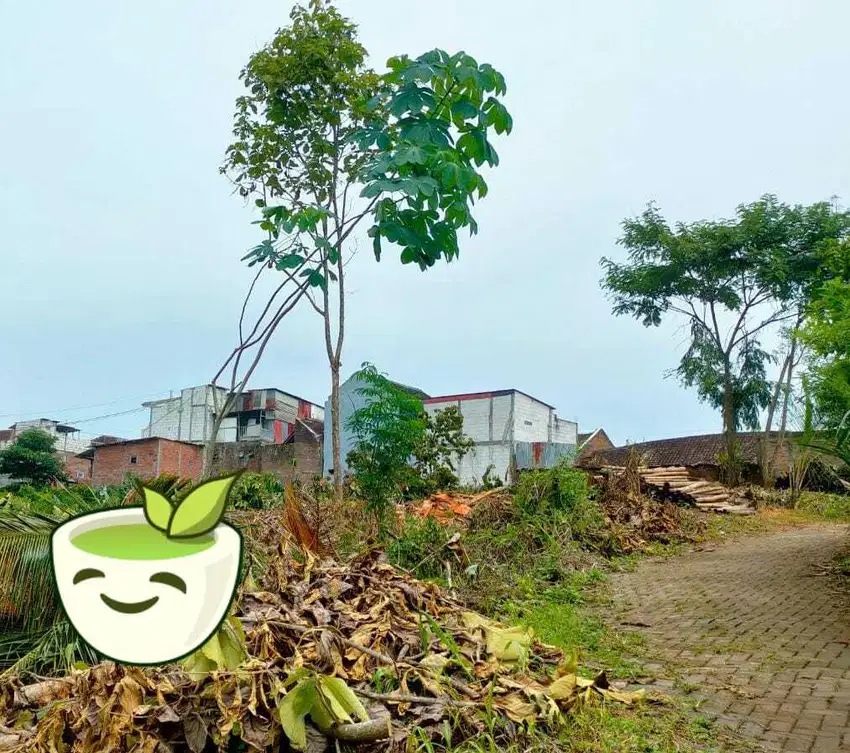 TANAH MURAH SIAP BANGUN DEKAT KAMPUS MALANG SHM NEGO!