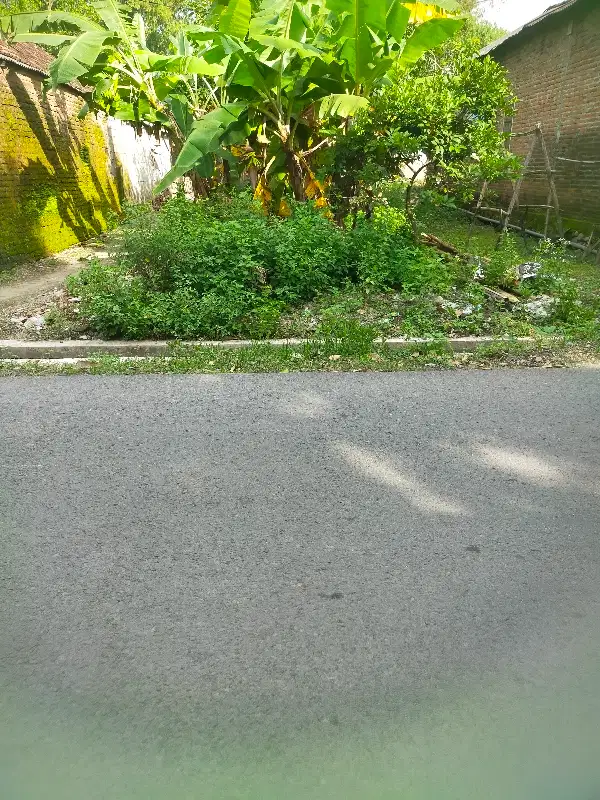 Jual murah tanah di ngoro  harga di bawah pasar bagus untuk usaha