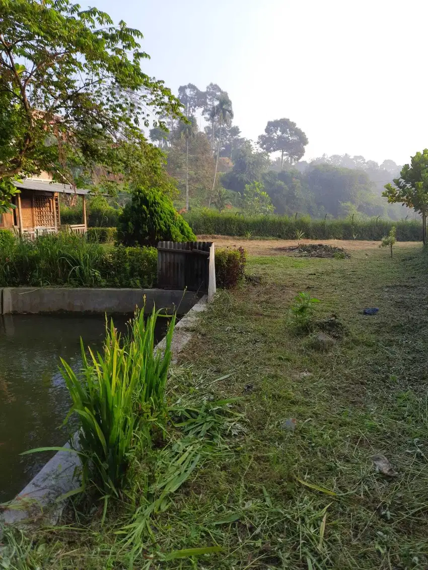 Jual Cepat Tanah Kebun Cocok Untuk Staycation di Cijeruk Bogor