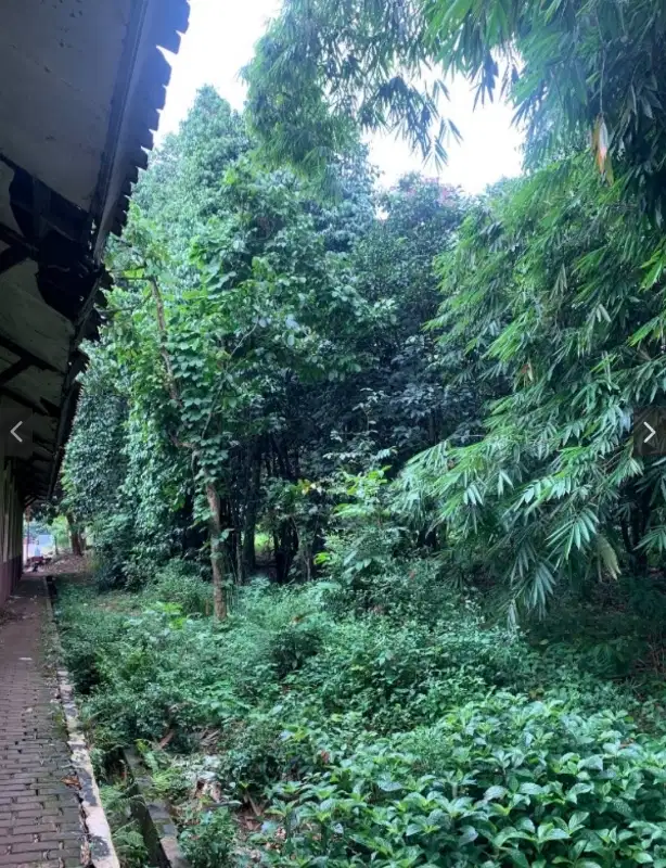Dijual Tanah Strategis 990 m² di Setu, Bekasi – Dekat Sekolah Dasar