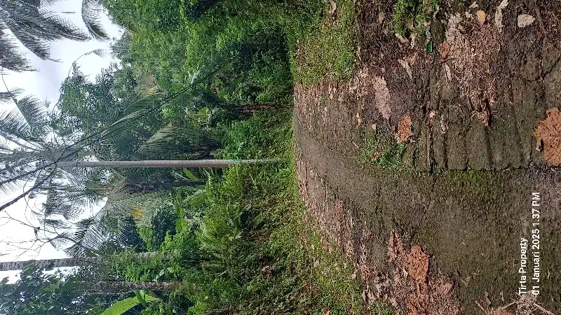 Dijual tanah kebun