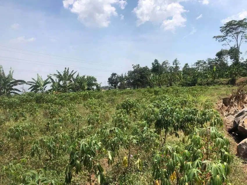 TANAH SHM 5421 LAWANG MALANG ARAH KEBUN TEH