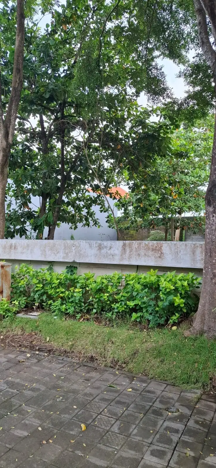 Tanah Cluster Favorite Sunset Garden - Sunset Road Kuta