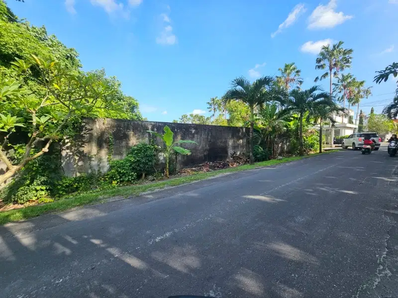 Tanah kayu tulang canggu