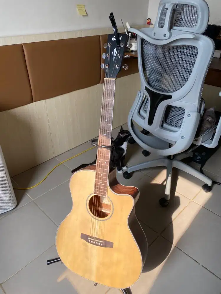 Jual BU Cepat Gitar Cort GA-MEDX OP Grand Auditorium