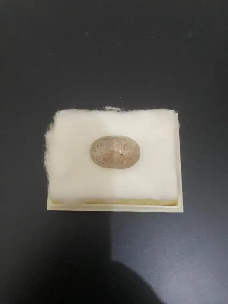 Kecubung Putih Corak