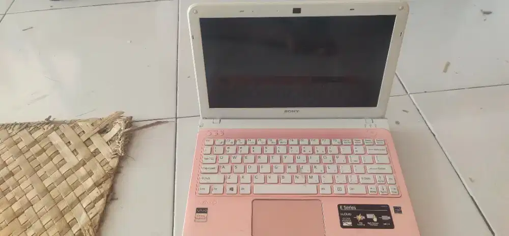 Netbook sony sve111B11W