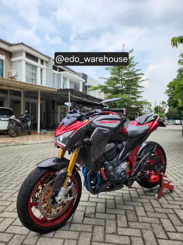 Kawasaki Z800 Hedon Full Modif Mentok!