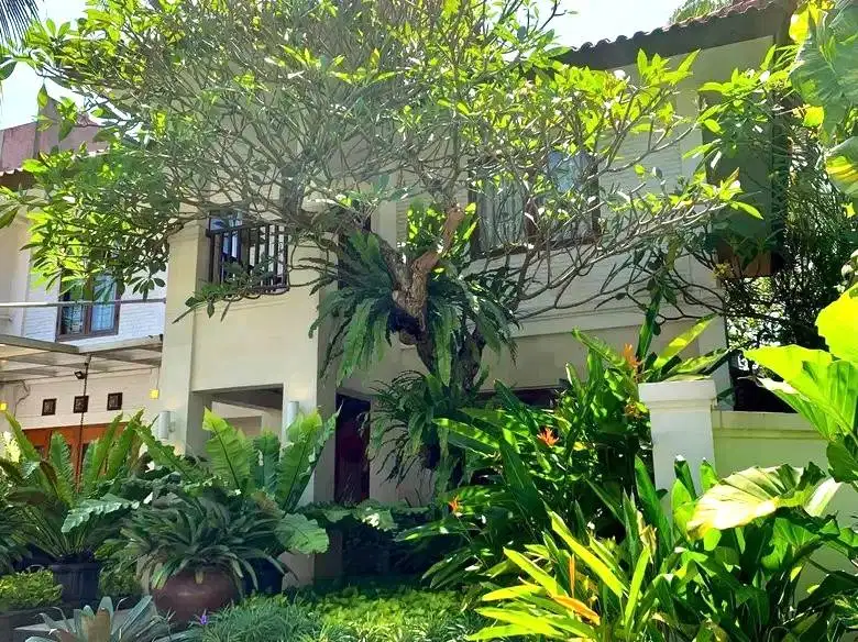 Rumah tropical modern di bintaro dekat lottemart ada kolam renang prib