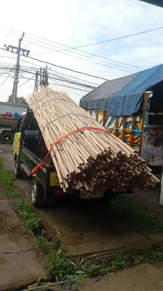 Kayu galam murah kualitas super
