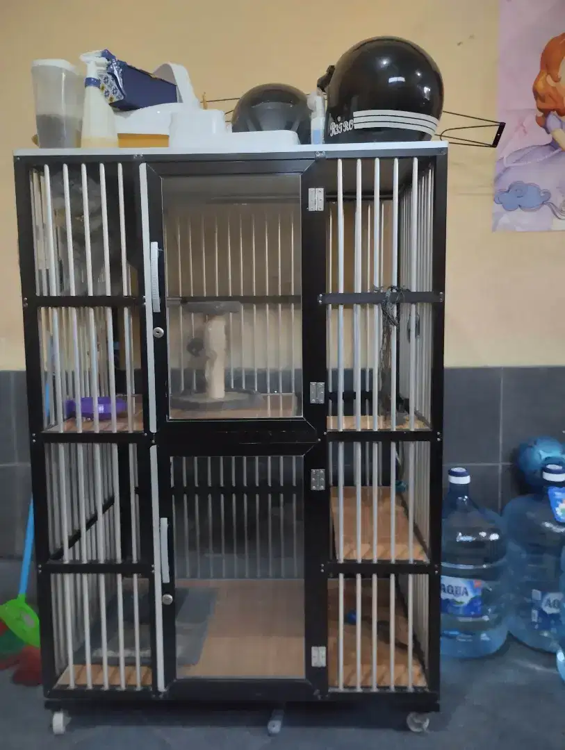 Dijual kucing persia include kandang