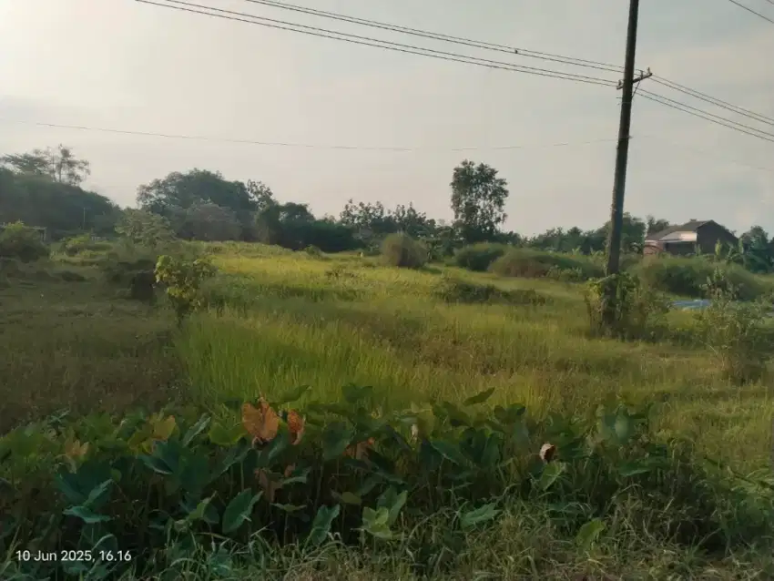 Jual tanah milik pribadi 2500 shm