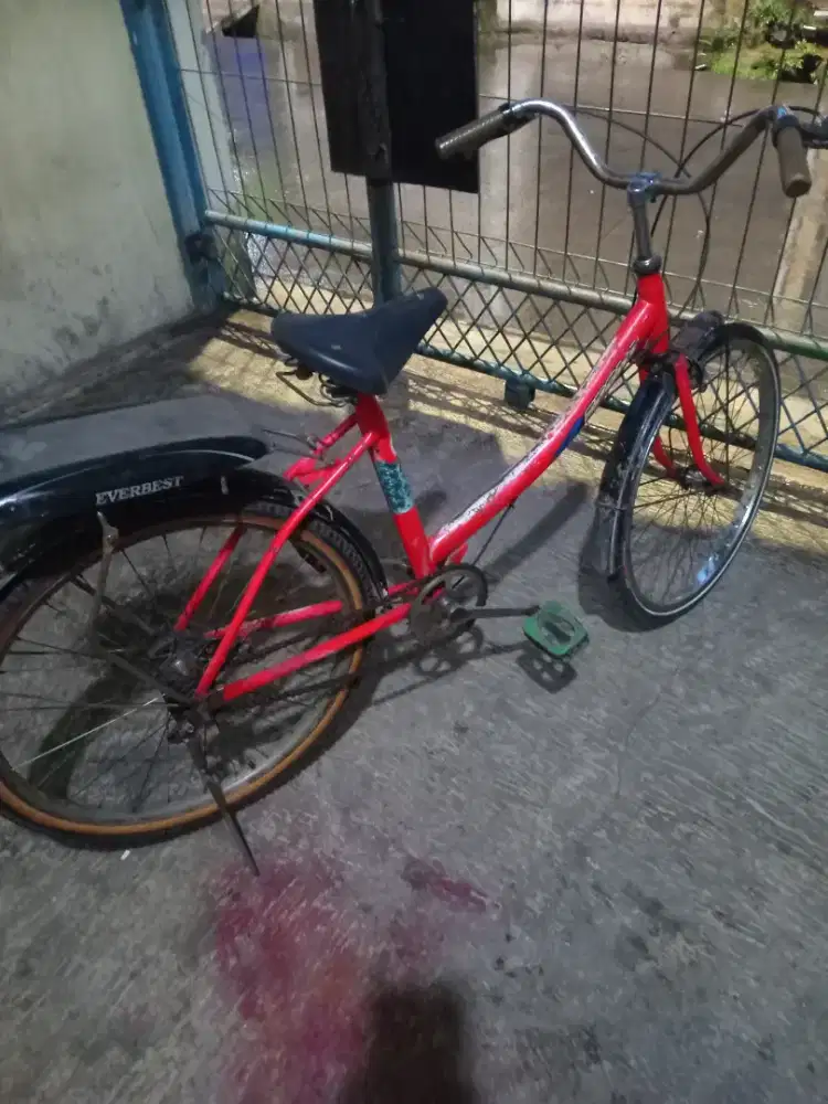 Jual sepedah cewe ukuran 24x175