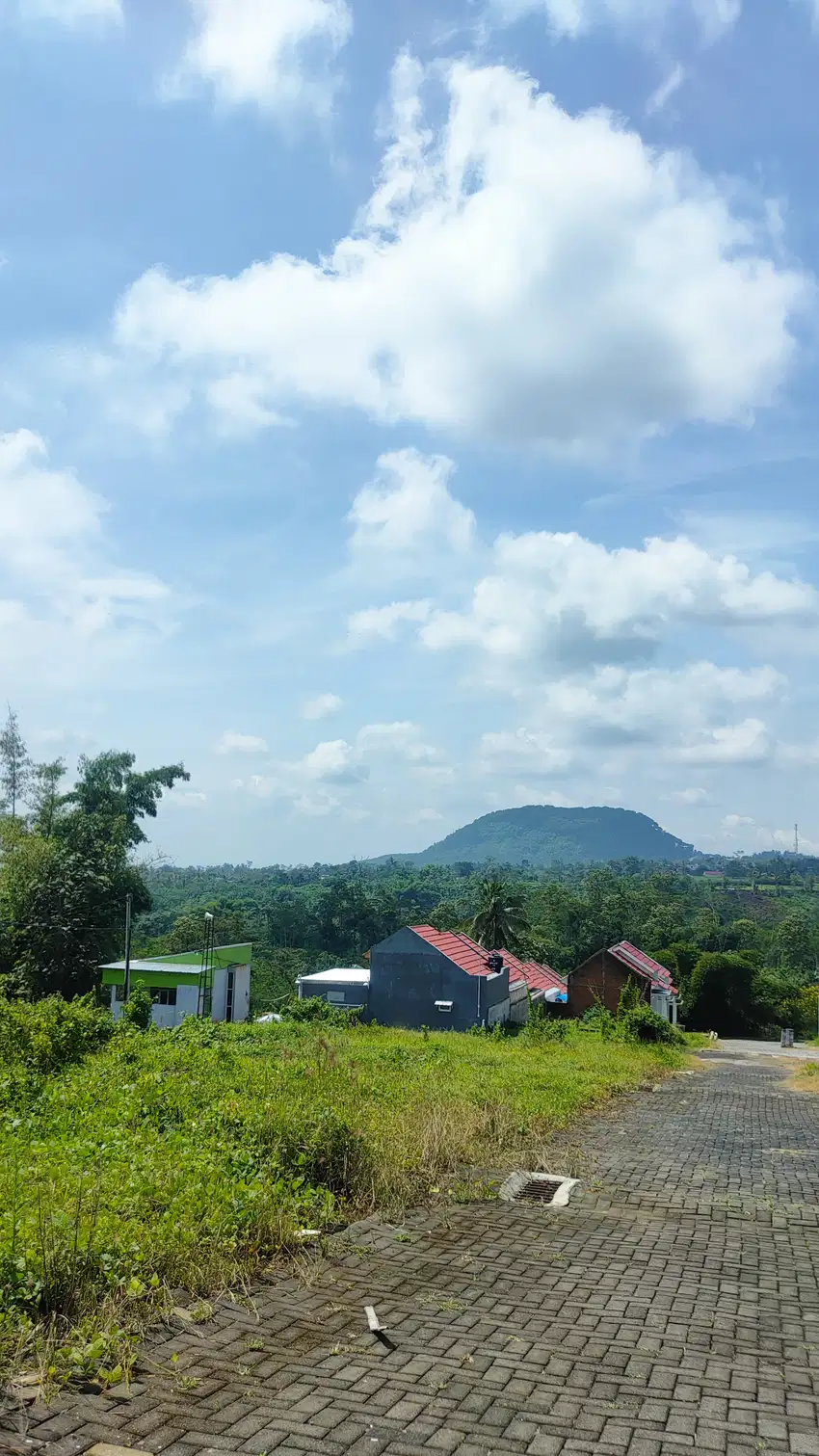Tanah Dekat Kawasan Industri Pabrik Gula Kebonagung Malang Asri