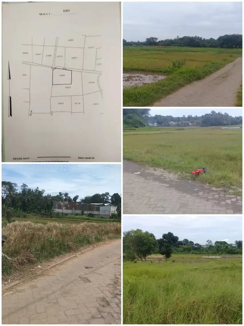 Dijual SAWAH di CISOKA, BOJONGLOA