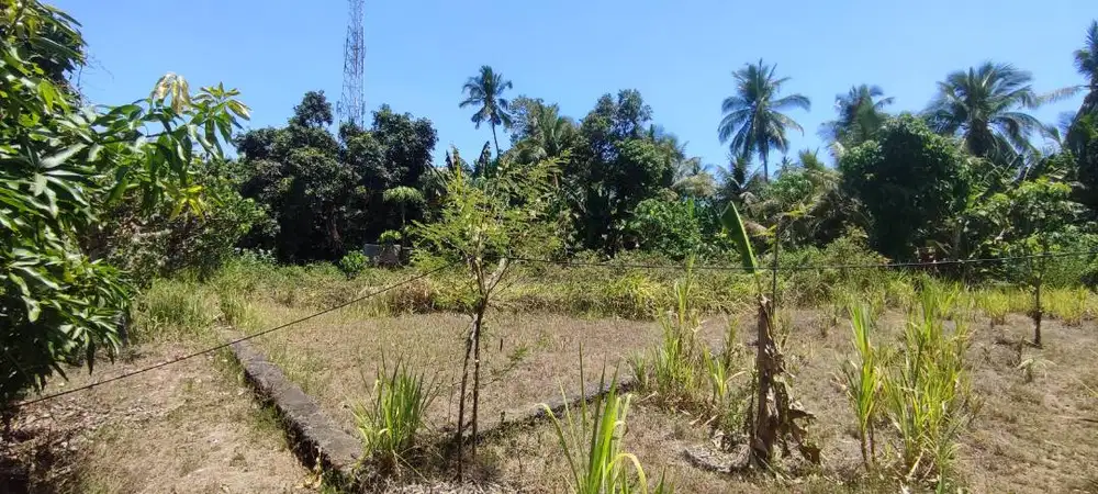 Tanah Murah dan Luas