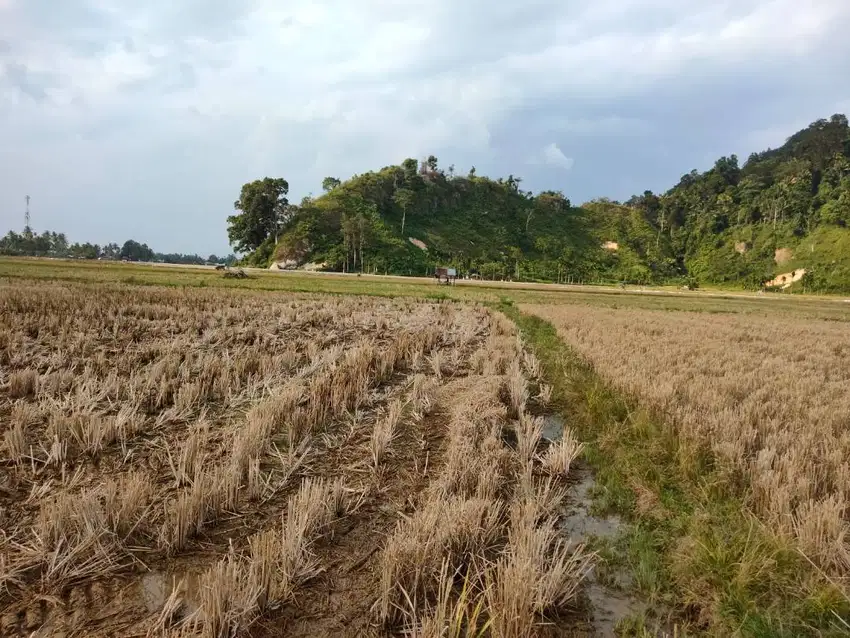 DIJUAL TANAH STRATEGIS 10.513 m² – Dekat Bandara, Tol, dan Asrama Haji