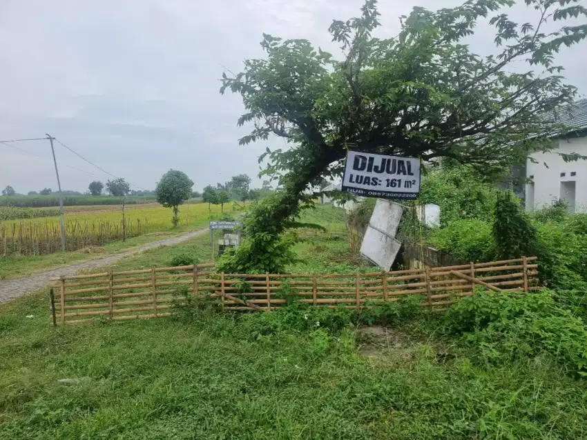 Dijual Tanah luas 166m2 nol jalan raya jombang-kediri