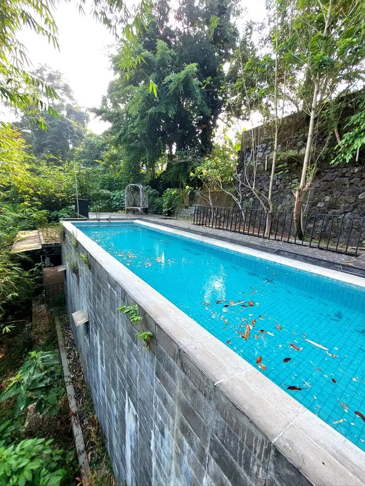 Rumah Estetik dan Natural dengan Joglo dan Kolam Renang di Maguwoharjo