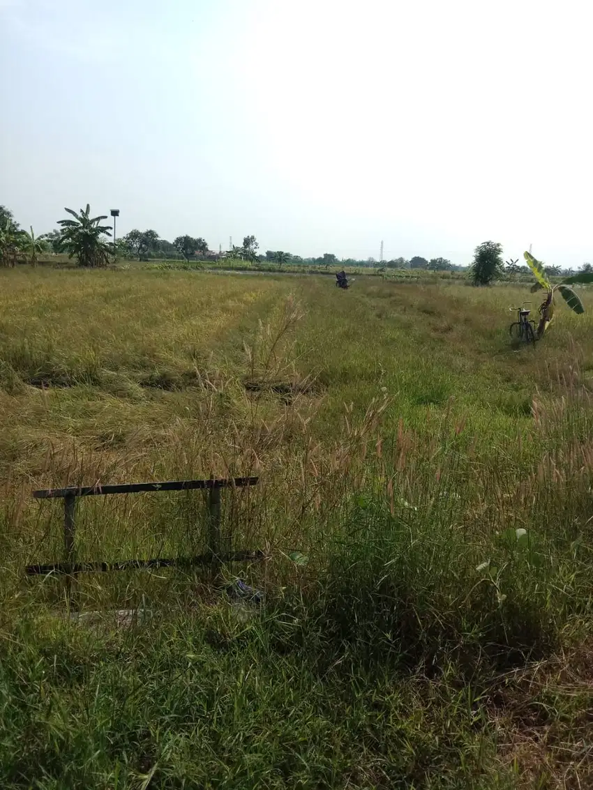 Dijual Tanah Kavling di Desa Sumari, Gresik