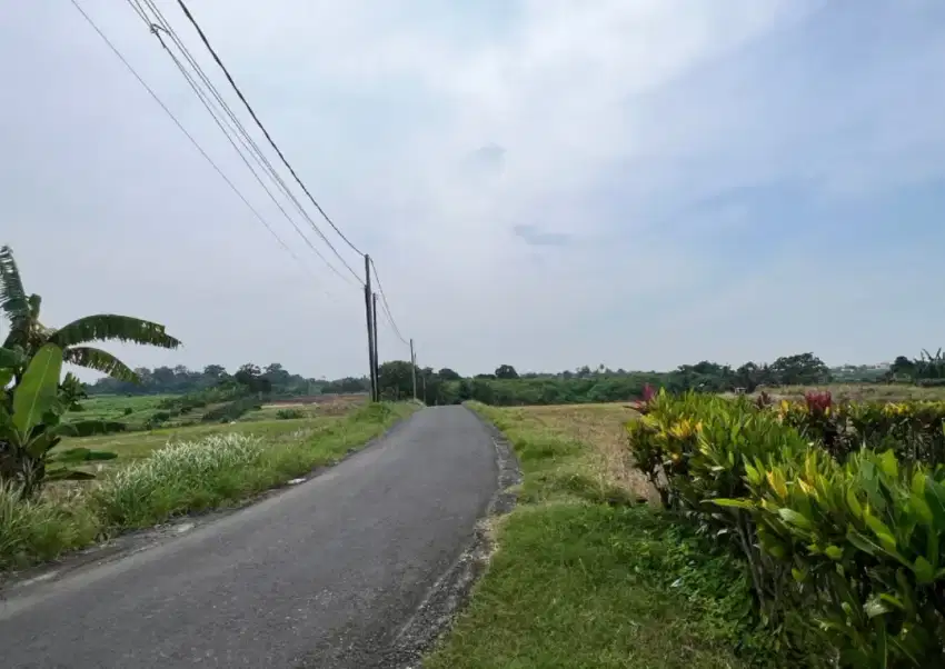 Dijual Tanah Kawasan Villa Tabanan Bali