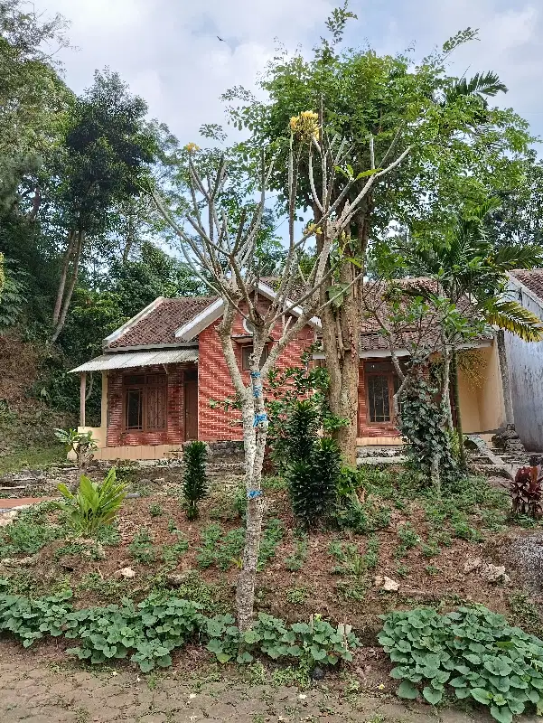 Jual, Jl. Neglajaya Cikamuning, Padalarang