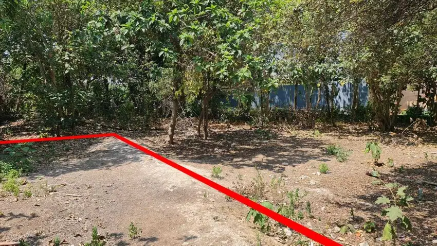 Dijual tanah di Jl Bidadari Seminyak