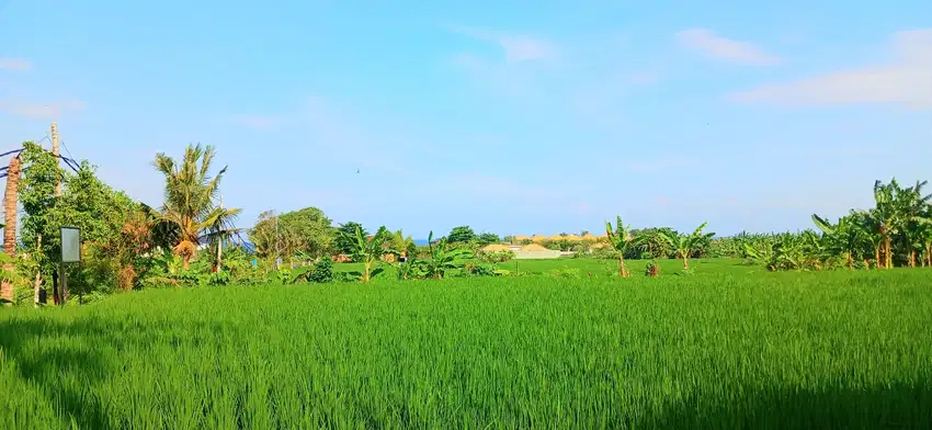 Tanah View Laut 5340 M2 Jln Pantai Purnama Gianyar Bali