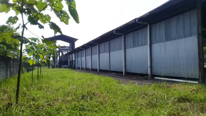 Tanah ex pabrik siap pakai SHM+ijin industri Plywood lengkap (CL 186)