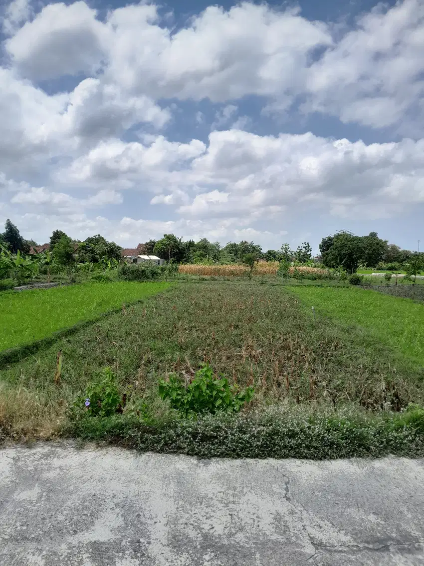 Dijual Tanah Pekarangan Strategis di Panggungharjo, Sewon, Bantul
