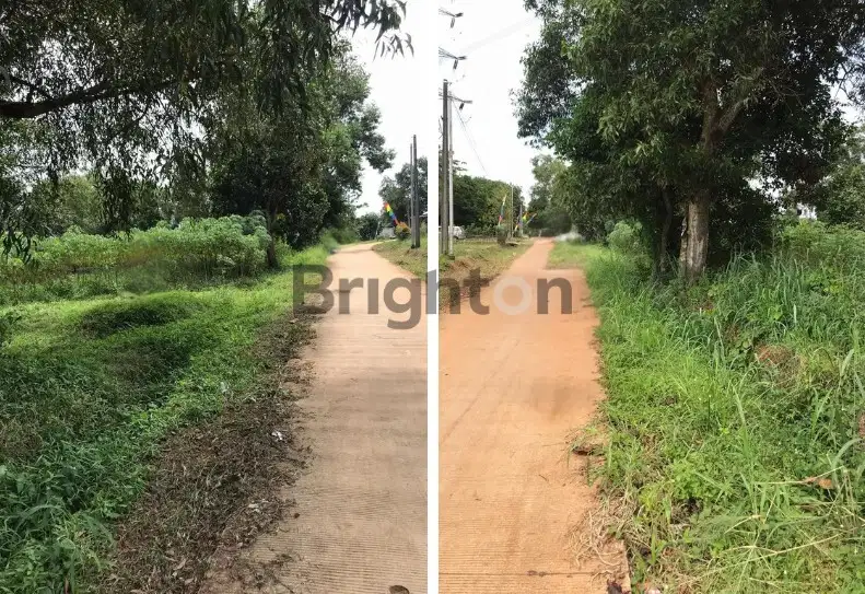 Tanah Luas Tiga Ribu Meter Sawangan Depok