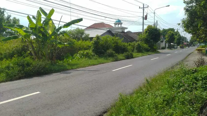 Tanah Pekarangan Luas dijual di Dekat Jl Paris Tembi Bantul Yogyakarta
