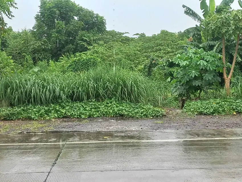 Raya wonoayu sidoarjo bisa untuk industri akses kontainer